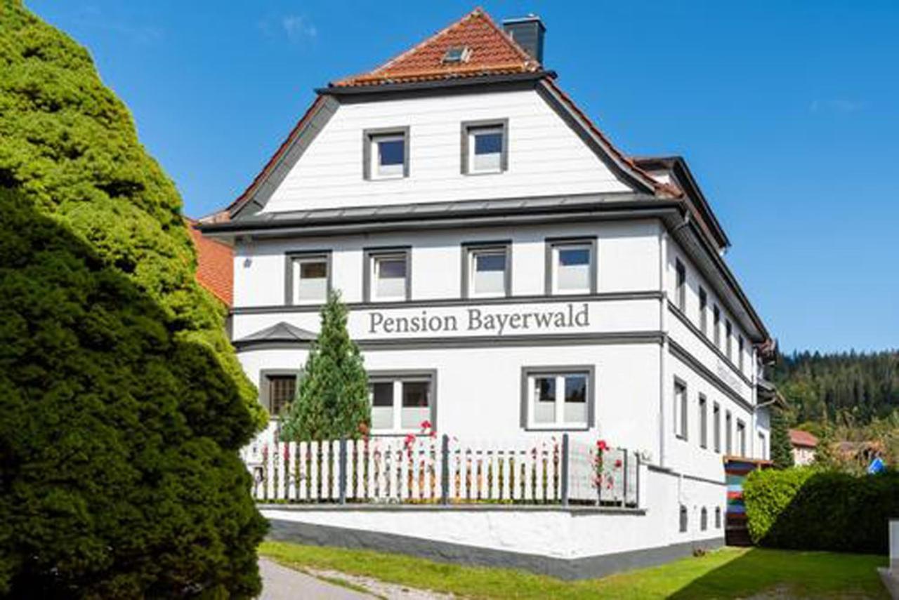 Pension Bayerwald Bodenmais Exterior foto